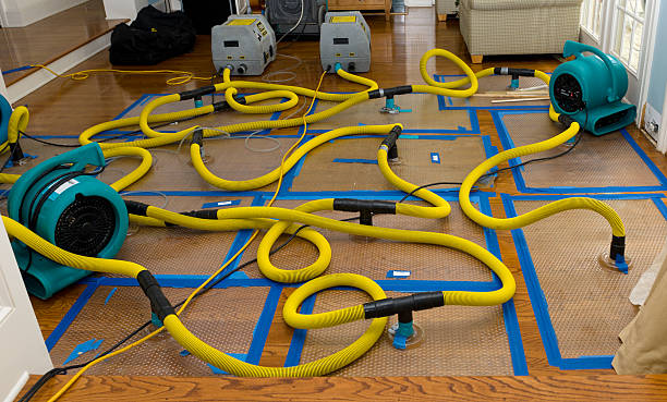 Professional Structural Drying And Dehumidification technician working in Keyport, NJ